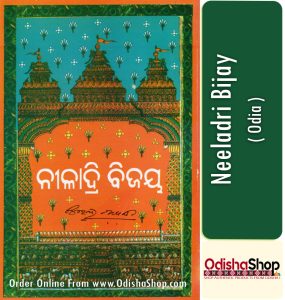 Read more about the article Niladri Bijaya Odia Novel